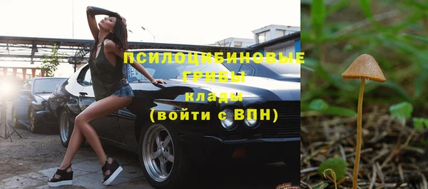 гидра Балахна