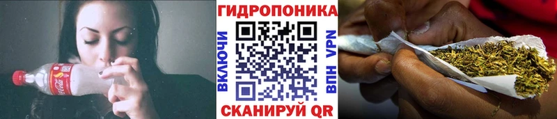 Бошки марихуана сатива  Гаврилов-Ям 